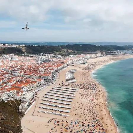 Sitio Terra Do Loureiro *