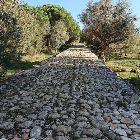 Sitio Terra Do Loureiro *
