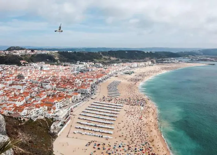 Sitio Terra Do Loureiro *