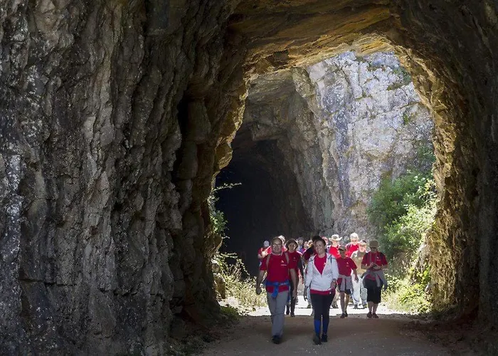 Sitio Terra Do Loureiro Porto de Mós