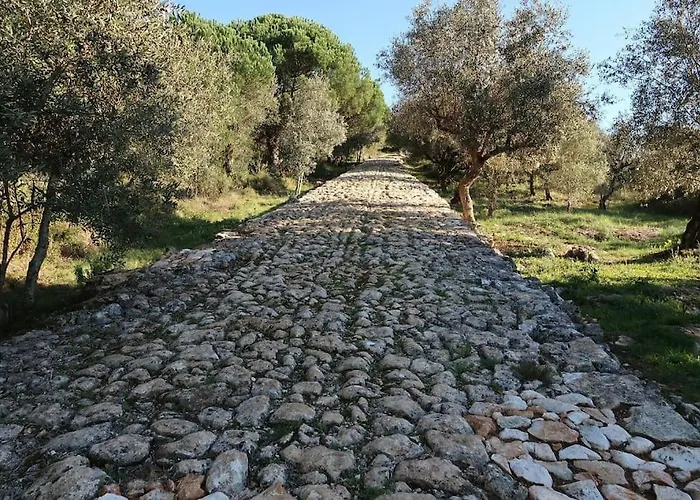 Sitio Terra Do Loureiro *